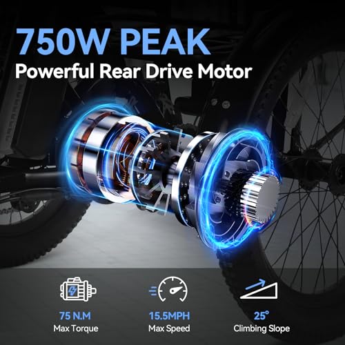 Vivi T01 20" x2.6 Fat Tire Electric Tricycle for Adults, 750W Peak, Folding 3-Wheel Bike D7496