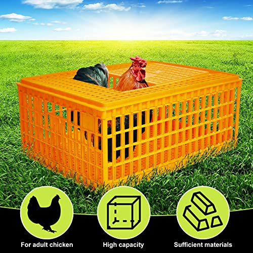 Plastic Poultry Carrier Crate for Chicken Transport, Heavy Duty, 29.5 x 21.7 x 13 Inch W3140
