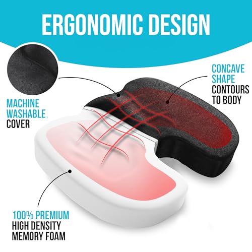 FORTEM Office Chair Cushion and Back Support, Memory Foam Lumbar Pillow, Non Slip, XL V440