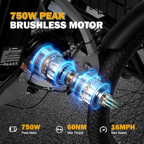 Triker Electric Bike Folding Trike Ebike, 750W Motor, 468Wh Battery, Step-Thru 3 Wheel Tricycle for Adults X7056