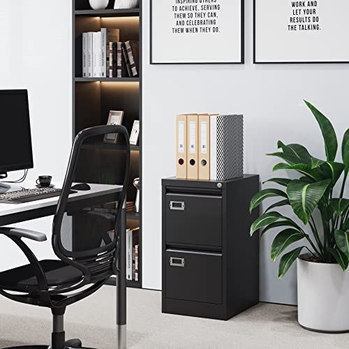 2 Drawer Vertical File Cabinet with Lock for Letter Size, Steel Office Storage Y50014