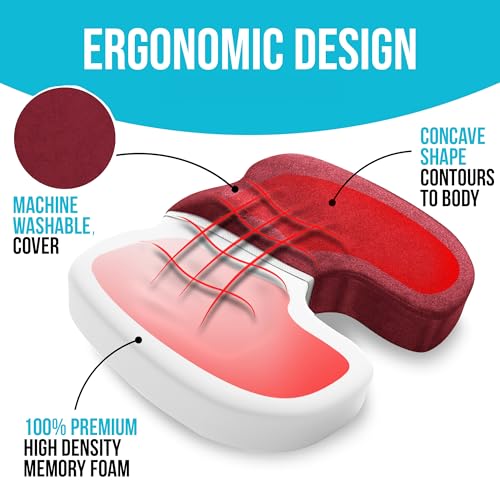 FORTEM Office Chair Cushion and Back Support, Memory Foam Lumbar Pillow, Non Slip, XL V440