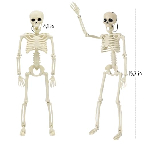 Life Size Skeleton with Posable Joints for Halloween Decor R4204