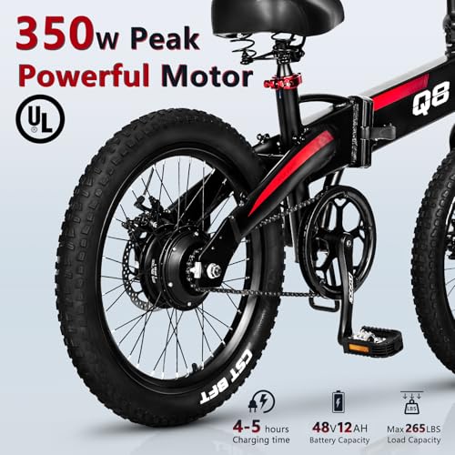 Folding Electric Bike for Adults with Removable Battery P213045