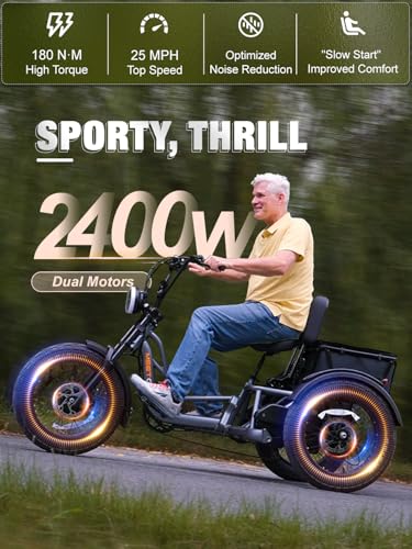 Folding Electric Tricycle for Adults, 1200W, 450lbs Load, UL Certified N810