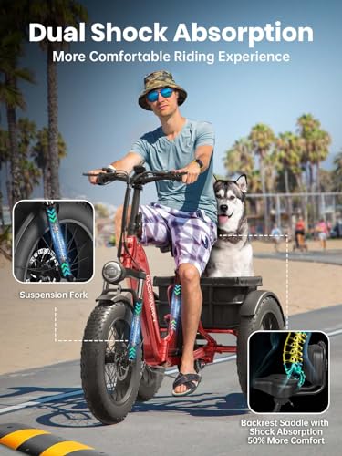 Electric Trike for Adult with 750W Motor, 48V Battery, 20" Fat Tire Y5910